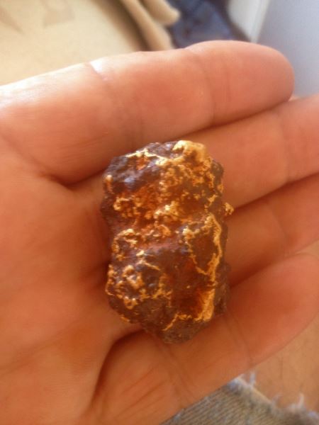 65 gram gold nugget March 2016