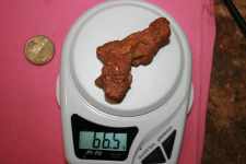66 grams goldnugget found by Dingo Mick - Click to enlarge