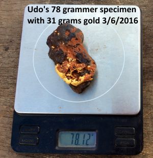 Udo's 78 gram Gold specimen June 2016