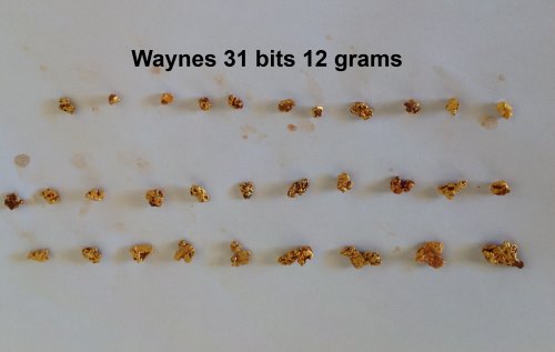 Waynes 31 bits