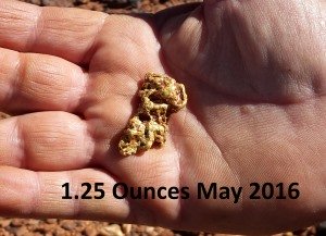 56 gram gold nugget found 