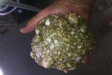 2600 gram gold specimen