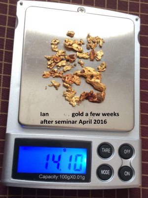 Ians Gold Nuggets