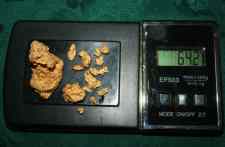 64 grams alluvial gold found by Jens - Click to enlarge