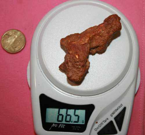 66 grams goldnugget found with an 8x6' Mono Coil - Click to enlarge