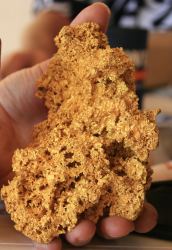 gold nugget 22 ounces