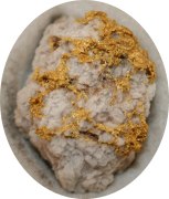 Gold Specimen in Quartz
