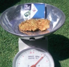 36 ounce gold nugget