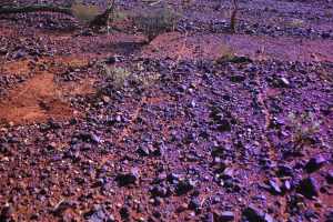 Laterite and Calcrete Caps